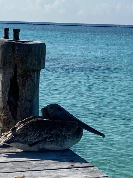 Apartamento Blue Angel 567 Playa del Carmen
